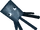 Squid