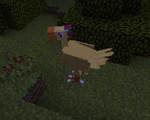 Chocobo