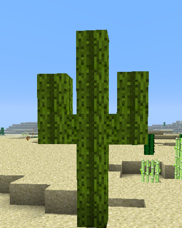 Saguaro Cactus Hexxit Wiki Fandom