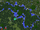 Twilight stream running through biomes map view.png