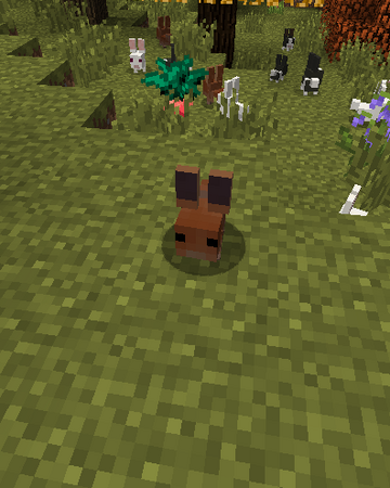 Forest Bunny Hexxit Wiki Fandom Forest Bunny Hexxit Wiki Fandom