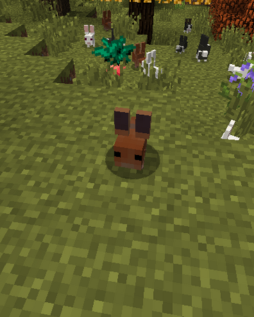 Forest Bunny Hexxit Wiki Fandom