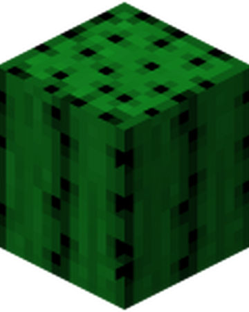 Cactus Hexxit Wiki Fandom