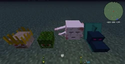 L To R: Lich, Naga, Ur-Ghast, And Hydra Trophy