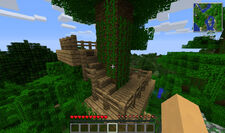 Ruins - Tree - Steps