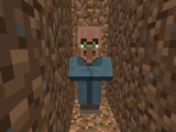 Villager