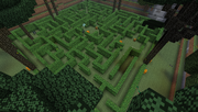 Twilight Forest - Hedge Maze - Above