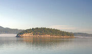 Skagit Island