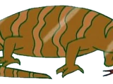 Monitor Lizard