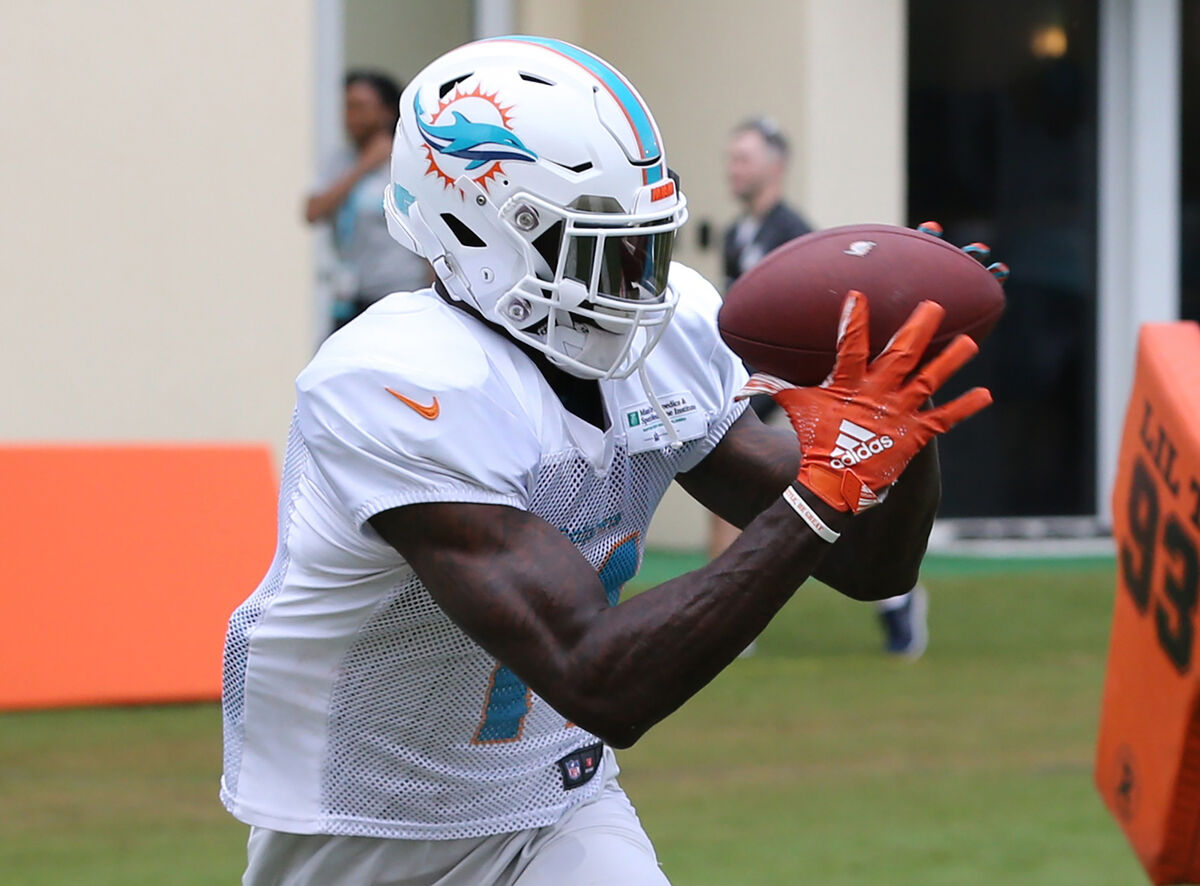 DeVante Parker Haferman Fantasy League Wikia Fandom