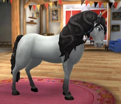 Épingles Numérotées Pour Cheval – Tennessee Walking Horse, Sellebred, Gaited – Lot De 8 Jeux De 4