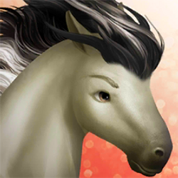 Sorraia Horse Haven World Adventures Wiki Fandom