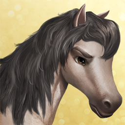 Andalusian Horse Haven World Adventures Wiki Fandom