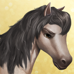 Andalusian Horse Haven World Adventures Wiki Fandom Andalusian Horse Haven World Adventures Wiki Fandom