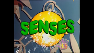 Opening Five Senses