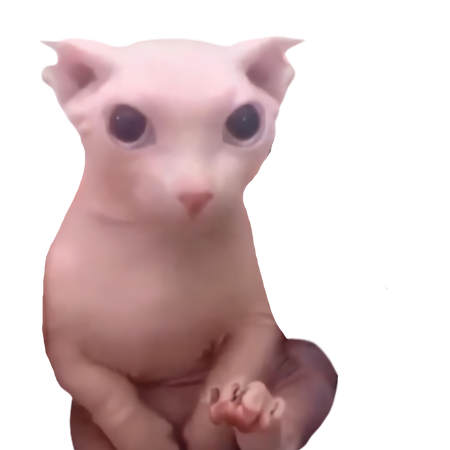 Bingus Wiki Fandom Bing spots a new cat but this one isn't so friendly. bingus wiki fandom
