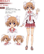 Akari data