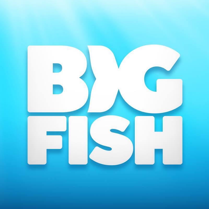 big fish games inc