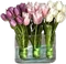 HO_CandyS_Tulips-icon.png