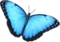 HO_SEHunt_Butterfly-icon.png
