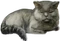 HO_BritKitchen_Cat-icon.png