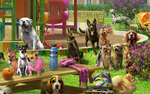 Scene Dog Park (Scene)-icon