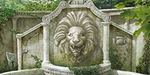 Scene Secluded Lion Pond (Scene)-icon