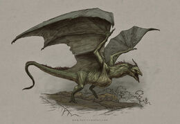 Swamp Wyvern by Kevin Catalan©