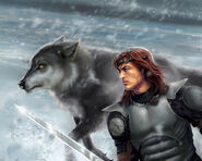 Robb and Grey Wind by quickreaver©