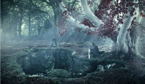 Bosque de Dioses en Invernalia ()