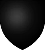 Guardia de la Noche