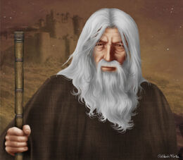 Barristan by M