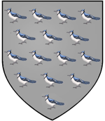 Emblema Colen de Lagosverdes