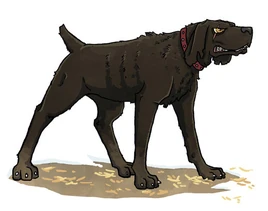 Maude by Thrumugnyr©