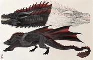 Drogon by SioSIN©.jpeg (148 kB) SioSIN©