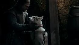 Ned y Dama