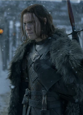 Cregan Stark HBO