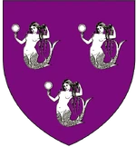 Emblema Marlon Manderly personal