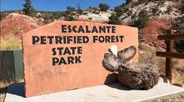 Escalante