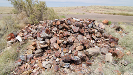 The Conscience Pile