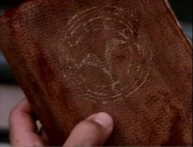 Crónica de un Vigilante.