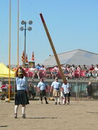 caber toss - Mark Valenti