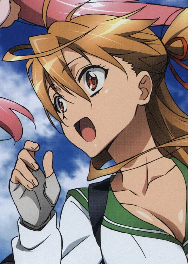 List of Highschool of the Dead episodes - Wikipedia