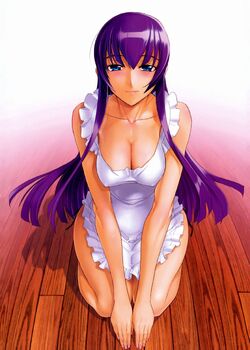 busujima saeko (highschool of the dead) drawn by otoosan