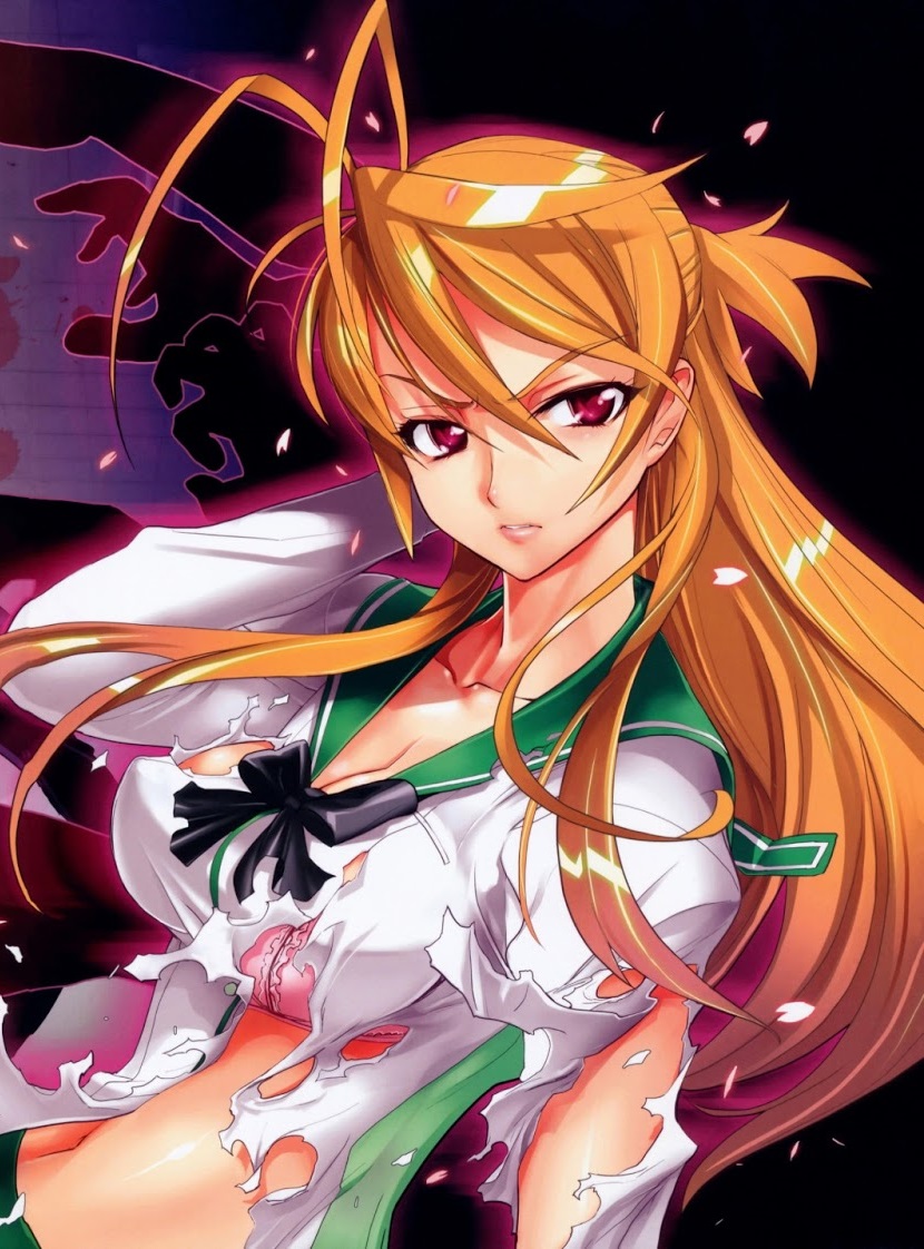 3 Highschool Of The Dead (Anime) Art