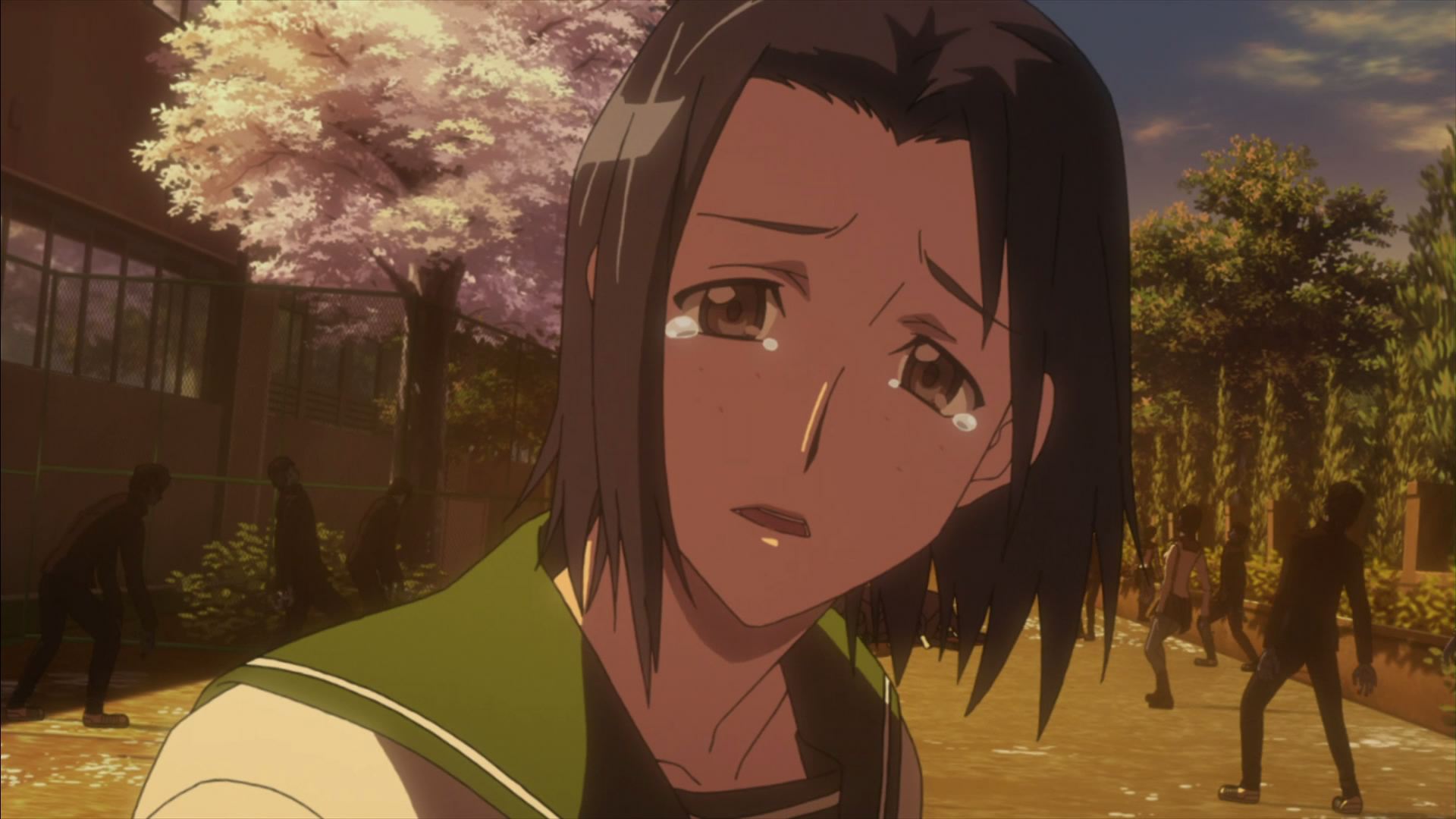 Asami Nakaoka, Highschool of the Dead Wiki