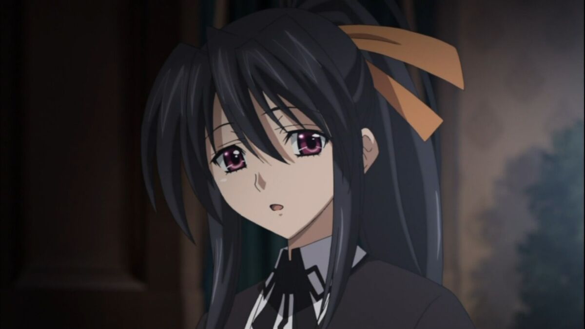 Akeno Himejima, High School DxD Wiki