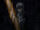 Excalibur Rapidly/Image Gallery