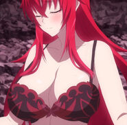 HeroE1 Rias Undressing