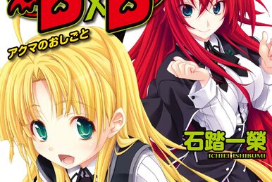 HIGH SCHOOL DXD LIGHT NOVEL SC VOL 11 (C: 0-1-2) (05/24/2023) YEN ON